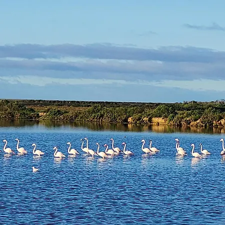 Village Marina Lägenhet